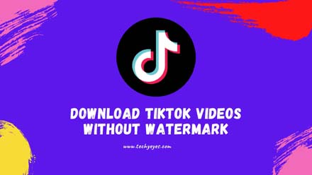 Download TikTok Videos