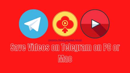 Save Videos on Telegram on PC or Mac