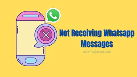Not Receiving Whatsapp Messages