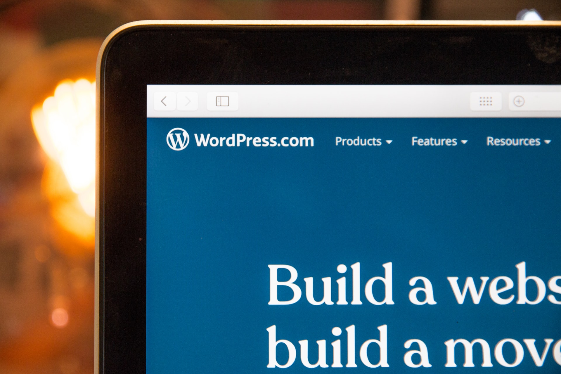 WordPress website