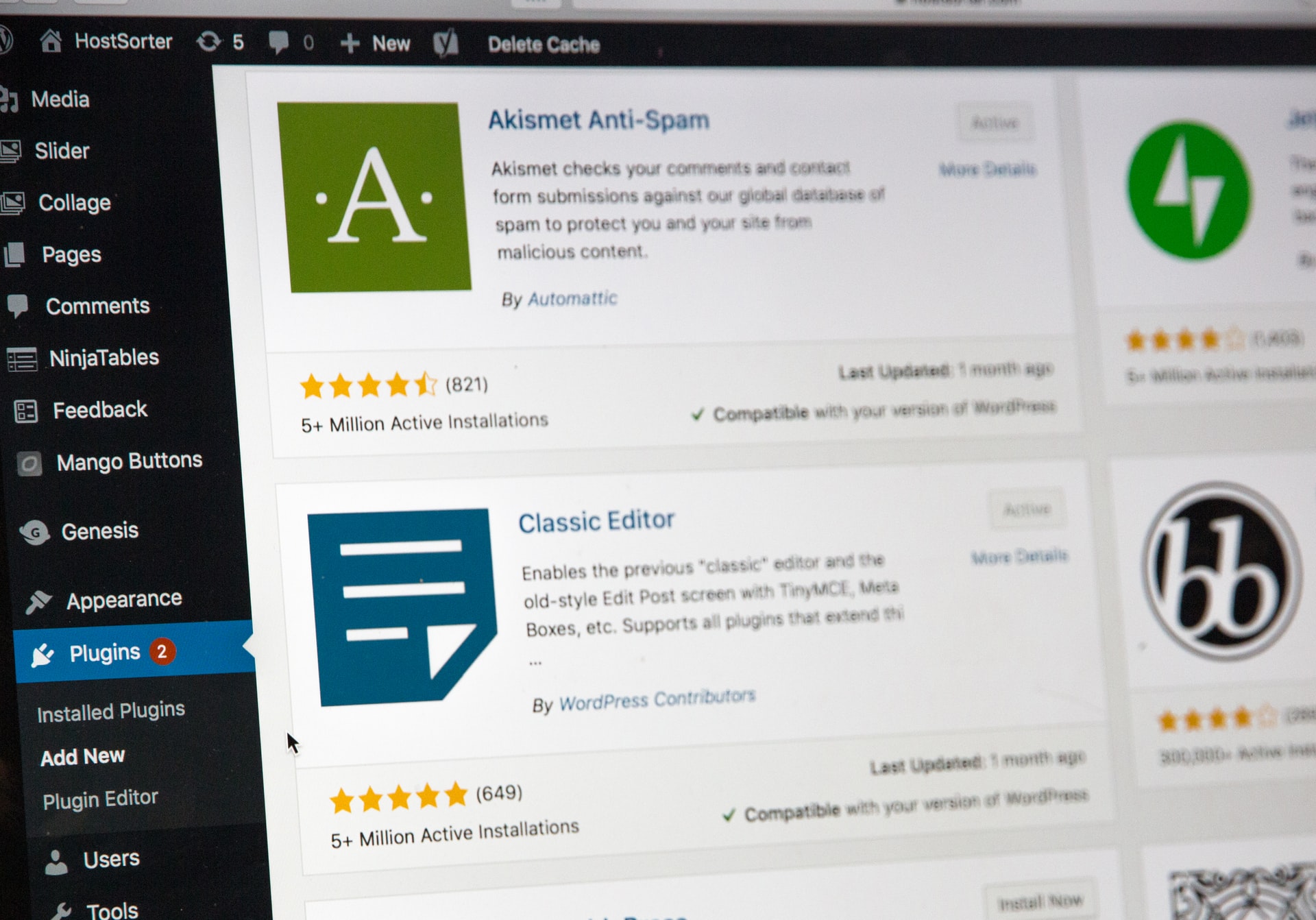 Plugins tab Wordpress