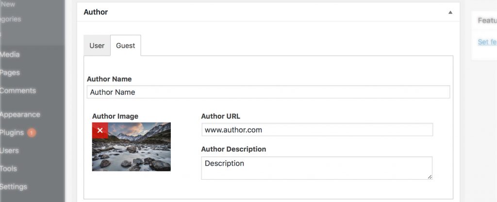 Guest Author plugin settings screenshot