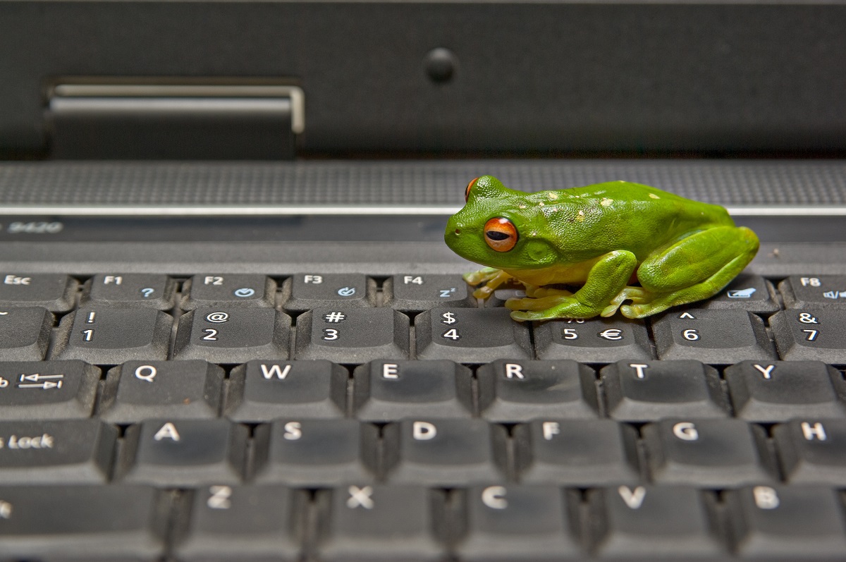Leap frog web design