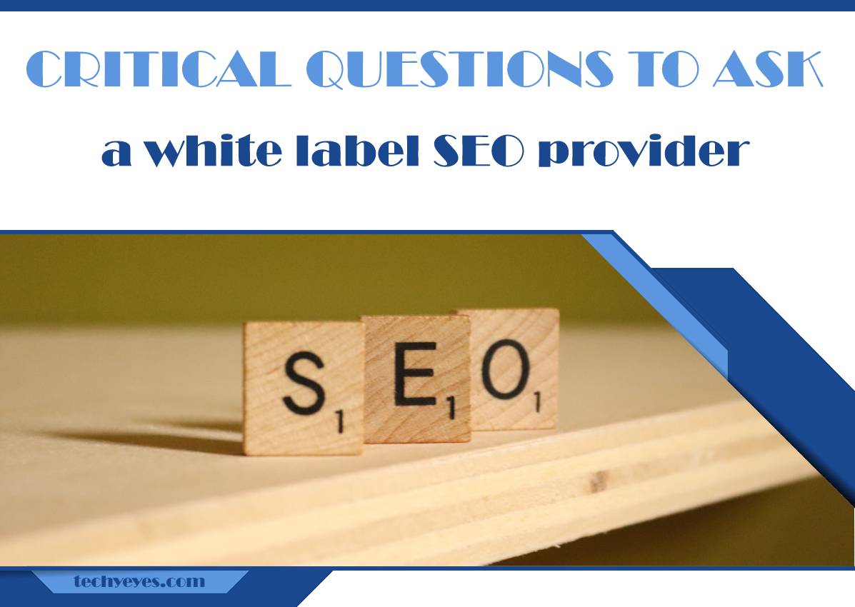 Critical Questions to Ask When Evaluating a White Label SEO Provider
