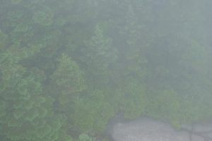 Fix Self-Protection Failed "Error Code 4" (Can't Start the Game)