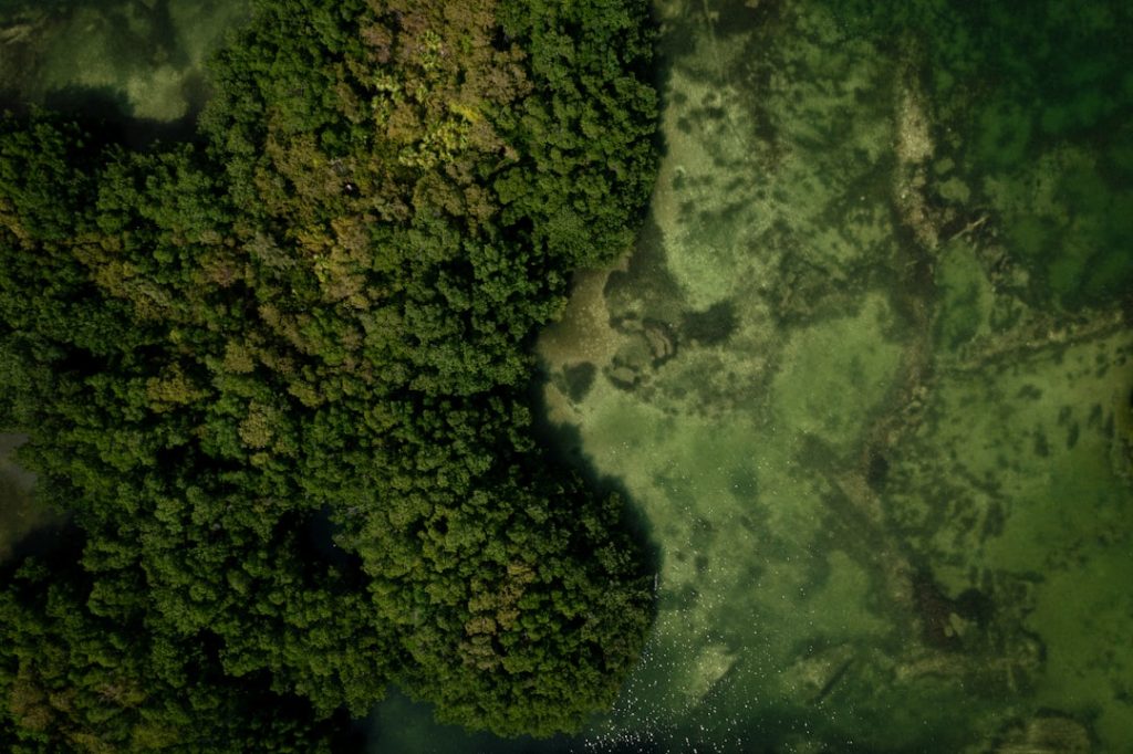 Fix Self-Protection Failed "Error Code 4" (Can't Start the Game)